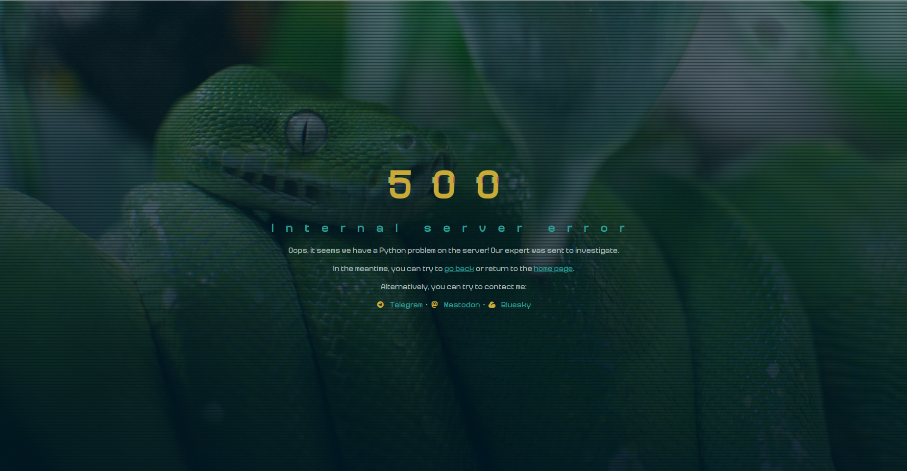 Screenshot showing a "500" in large yellow characters, followed by a text indicating that this is an error in the site's Python code. A photo of a green tree python, darkened and interlaced with dark lines, appears in the background.