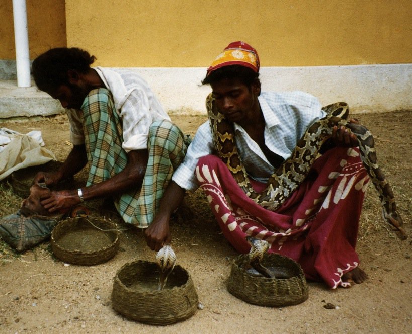 Deux charmeurs de serpents au Sri Lanka